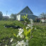 image-21-05-26-10-18-1