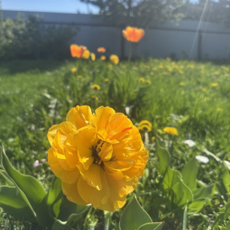 image-21-05-26-10-18