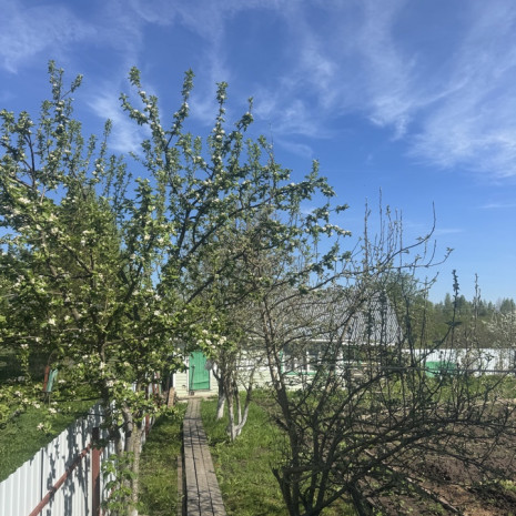 image-21-05-26-10-18-3