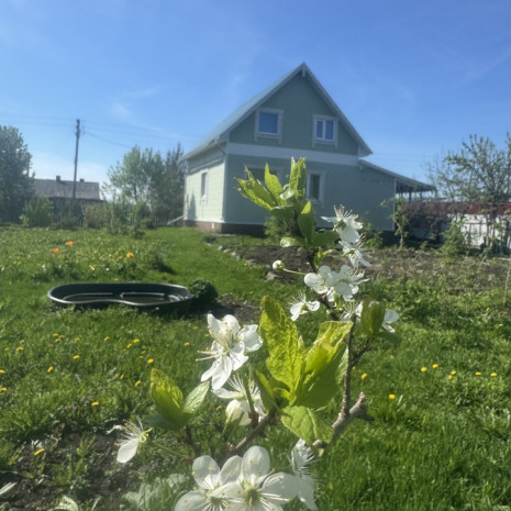 image-21-05-26-10-18-1